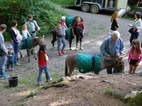 2013_Waldfest_Bireggwald21